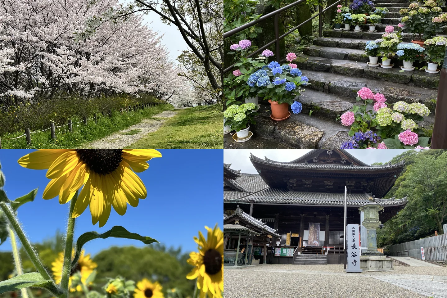 奈良の山里、桜、鹿、寺社をイメージしたイラスト