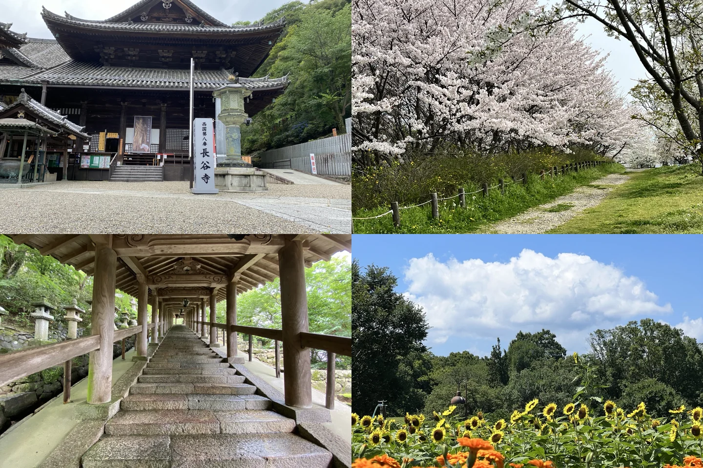 奈良の寺社、山並み、鹿、桜の風景をイメージしたイラスト